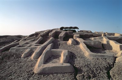 Shahr-e Sukhteh (Ciudad Quemada) de Prehistoric